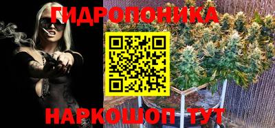 крисы Гусиноозёрск