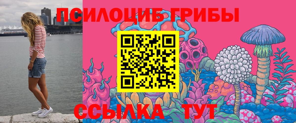 Псилоцибиновые грибы Cubensis Вольск