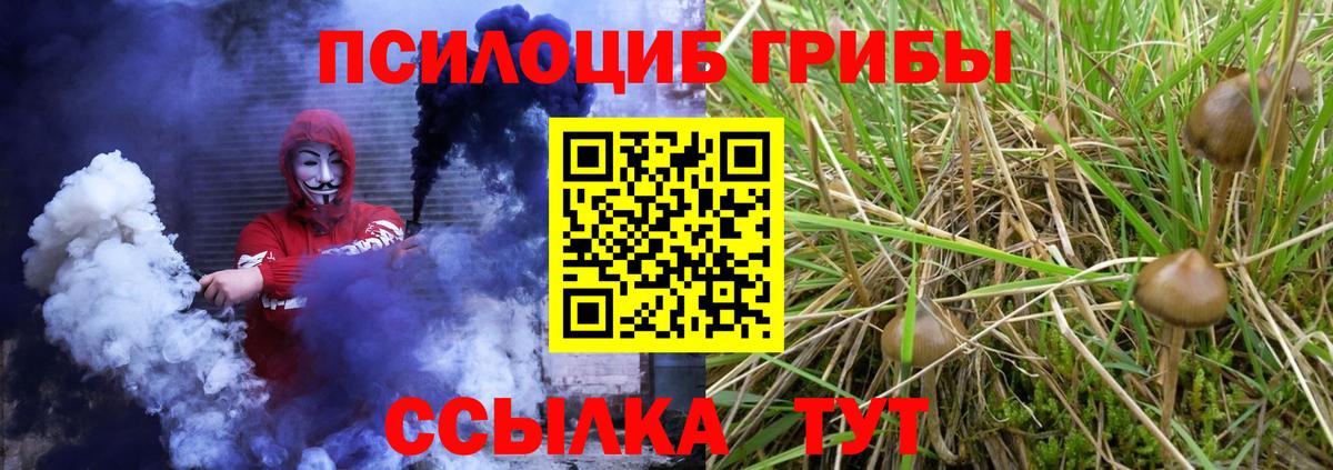 Галлюциногенные грибы прущие грибы  Вход с VPN  закладки  Вольск 